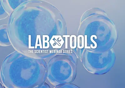 Whole-Well Brightfield Cell Counting with the Latest in Microplate Imaging Technology&nbsp;